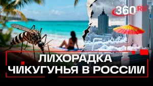 Новый случай лихорадки чикунгунья в России. Какие симптомы?