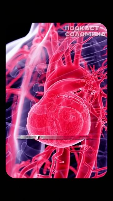Как правильно плавать | Бубновский | Полный выпуск на канале «Глеб Соломин» смотреть онлайн