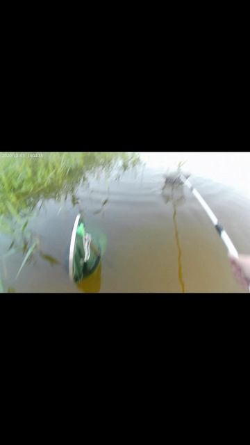 Такая рыбалка уже скоро.