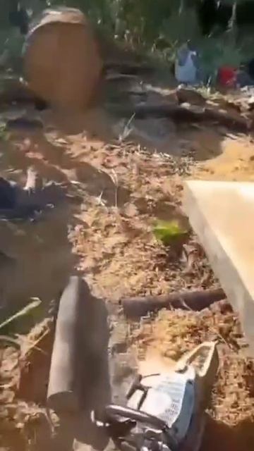 дровакол смотреть онлайн