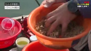 Зимняя херабуна в Японии.