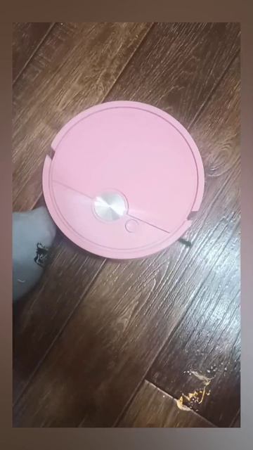 Немного НЕУДОБСТВА при ОГРОМНОМ УДОБСТВЕ! 🤗😁🤗 05.02.2026г. О кошках, о технике, о новом!