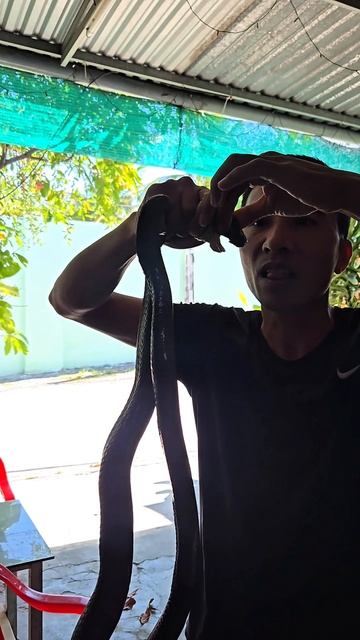 🐍ОПАСНАЯ ЕДА 1* #живупетляю ##вьетнам 🐍ОПАСНАЯ ЕДА 1* #живупетляю ##вьетнам