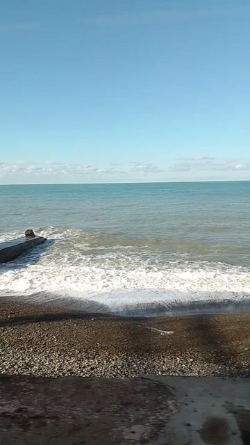 VID_20260204_100206 смотреть онлайн