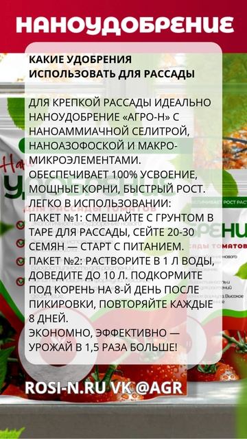 Какие удобрения использовать для рассады