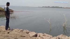 КРУПНАЯ РЫБА РОХУ