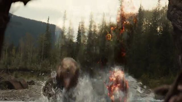 Хищник Vs медведь 