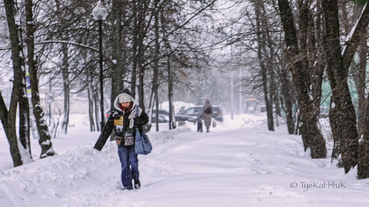 5 случаев обморожения в Мытищах – советы врача смотреть онлайн