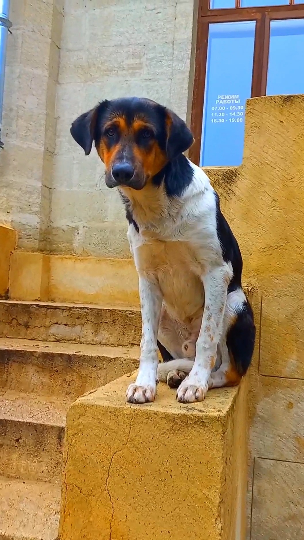 Ессентуки 2021 смотреть онлайн