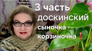3 часть. ДОСКИНСКИЙ сыночка  - корзиночка❗️