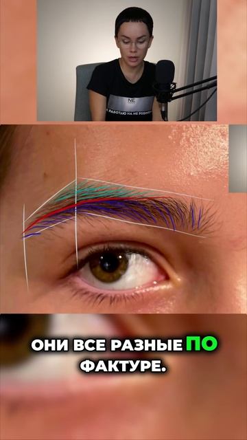 Что такое линия гид? #перманентныймакияж #татуаж #еленанечаева #nepigments #брови #обучениепм