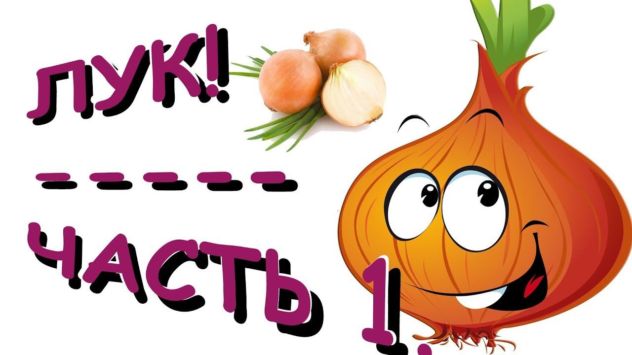 М против Ж Челлендж / Часть 1 — Лук. Луковый челлендж.