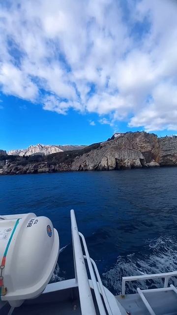 Мотивация Аналитика Мудрость Мышление Осознание Успех Вдохновения Удача → 👤 #ZABAVA_