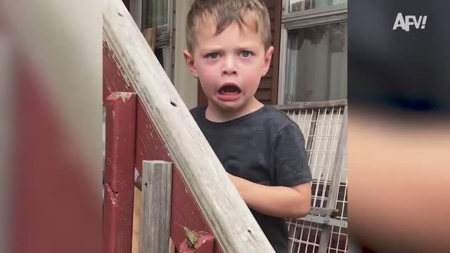 America′s Funniest Home Videos. Watch Out for the Bugs! 🐛🐜🐝 Hilarious Reactions смотреть онлайн