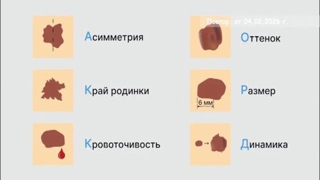 2026_02_04_Гость в студии часть 1 смотреть онлайн