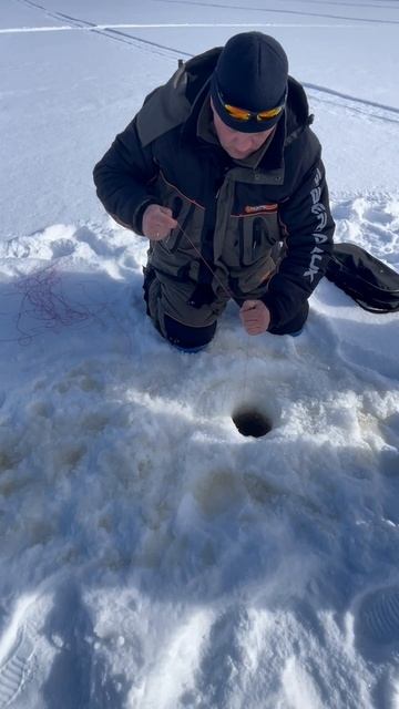 Щука на жерлицу в Карелии. 03