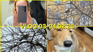 VLOG 03-04.02.26: НОВЫЙ ТЕЛЕФОН|ЧТО ПРОИСХОДИТ В МОЕЙ ЖИЗНИ|СКОРО ОТПУСК| СОБАКА И СМЕТАНА