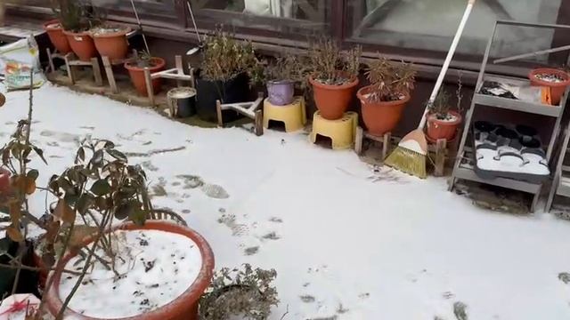 По свежему снежку приятно побегать, но не долго.