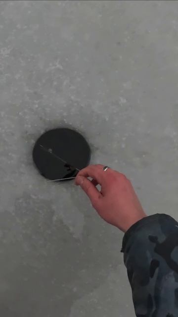 Первая щучка сезона благополучно отпущена на вырост! (декабрь 2025)