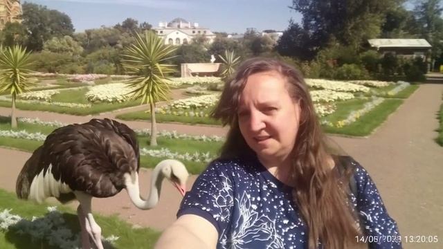 dfa6f5bd017b11f1a5b222a923575f9e.mp4