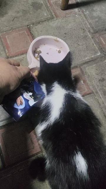 Как всегда, надеюсь на чудо, которое сделают волшебники!