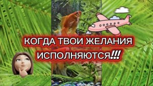 Когда твои желания исполняются!!!