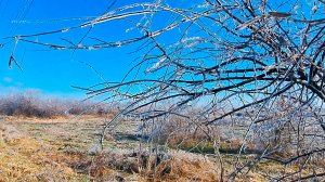 Погода налаживается 4 февраля 2026 Анапа