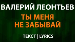 Валерий Леонтьев — Ты мeня нe зaбывaй (Текст Lyrics)
