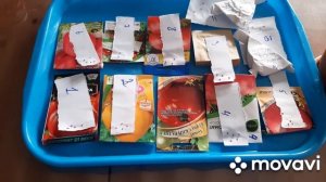 05-08.02.24. Сеем перец, баклажаны и томаты для теплицы.