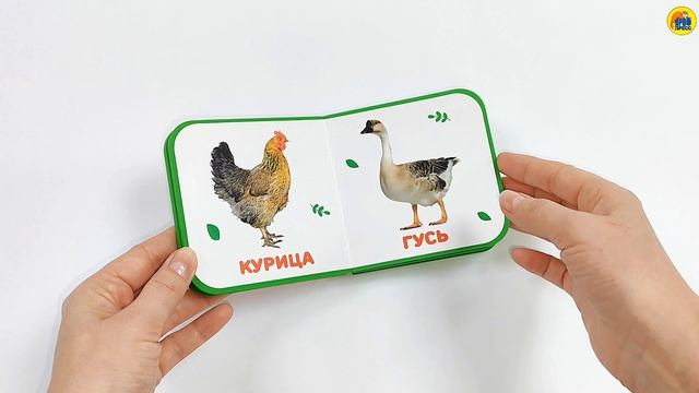 КНИЖКА МАЛЫШКА. ДОМАШНИЕ ЖИВОТНЫЕ смотреть онлайн