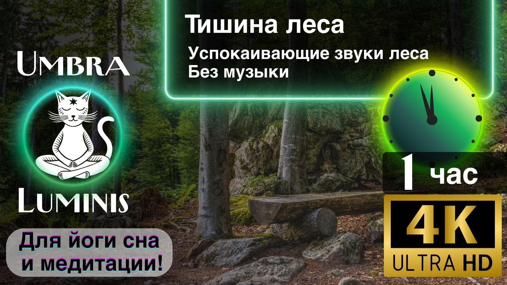 Звуки леса  — шелест листьев, пение птиц| Тишина природы  | Расслабляющие звуки природы