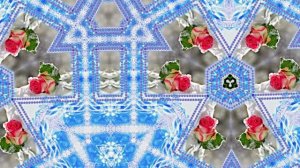 Розы в Зимнюю пору 3 от Киностудии Мудрого Кота Тимофея!