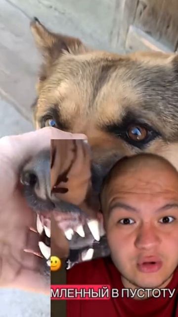 ужасно смешное видео😂😱