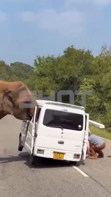 -3095521265209428439