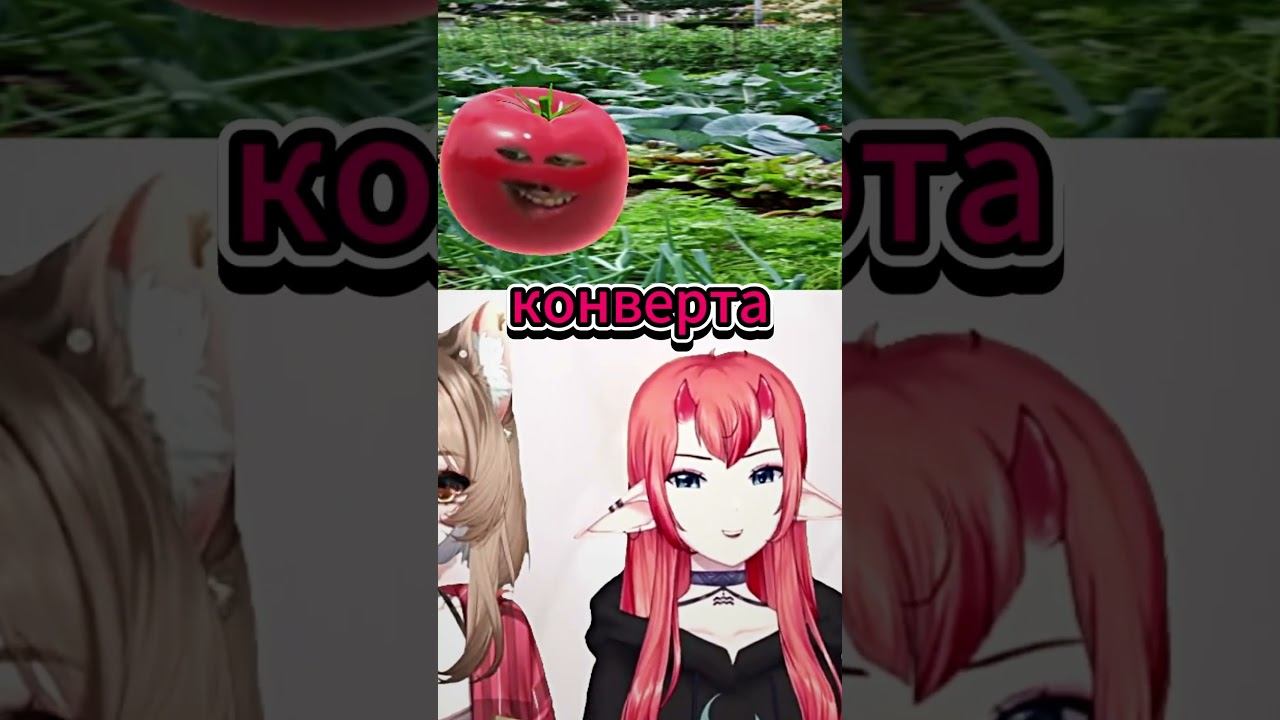 Бабушка халявщица #shorts #sleduck #xkamysh #fyp #funny #dear_hellgirl смотреть онлайн