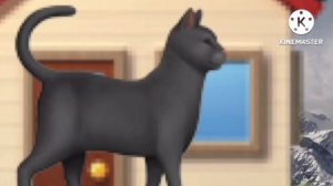 Побег от Чëрного кота Add Round 3