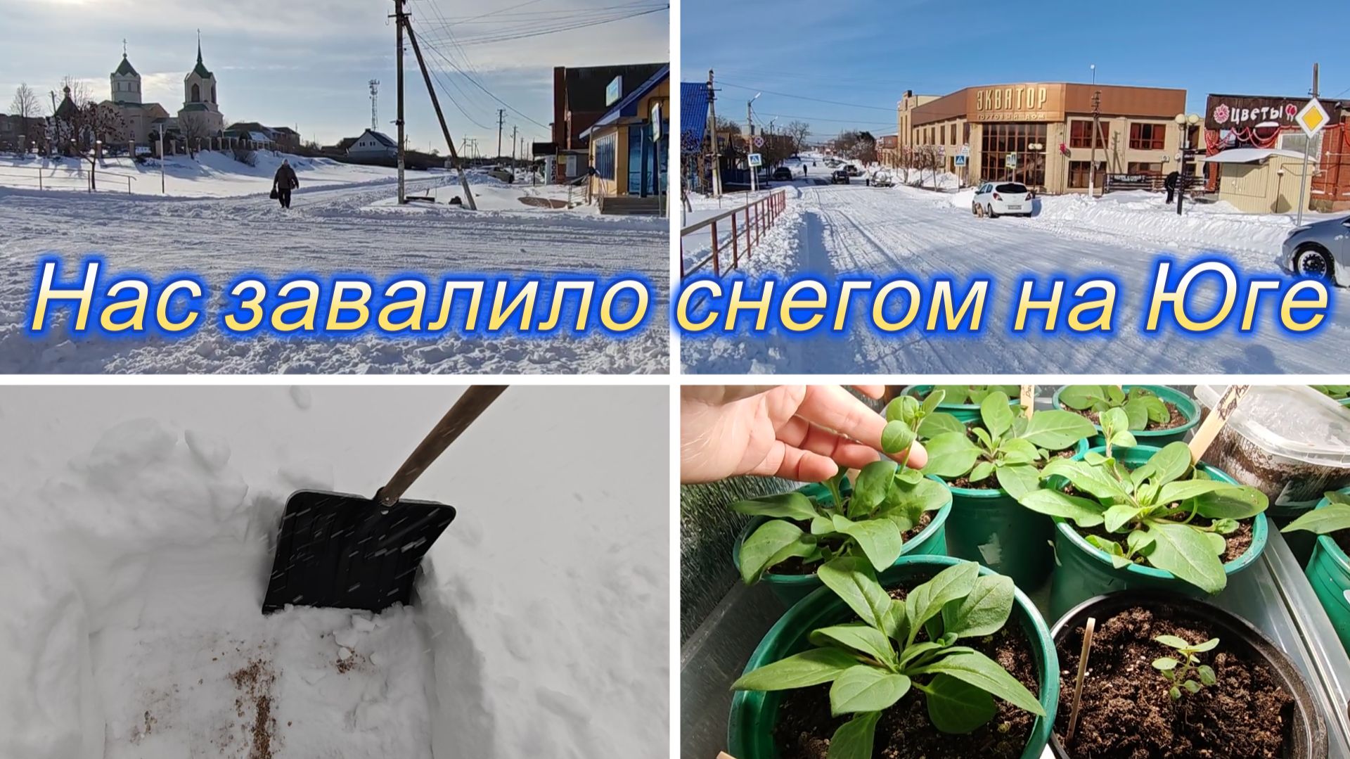 НАС ЗАВАЛИЛО СНЕГОМ, ОТМЕНИЛИ ЗАНЯТИЕ ,ЦЕНТР НАШ, МАГНИТ, КАК СЕЮ ПЕТУНИЮ смотреть онлайн