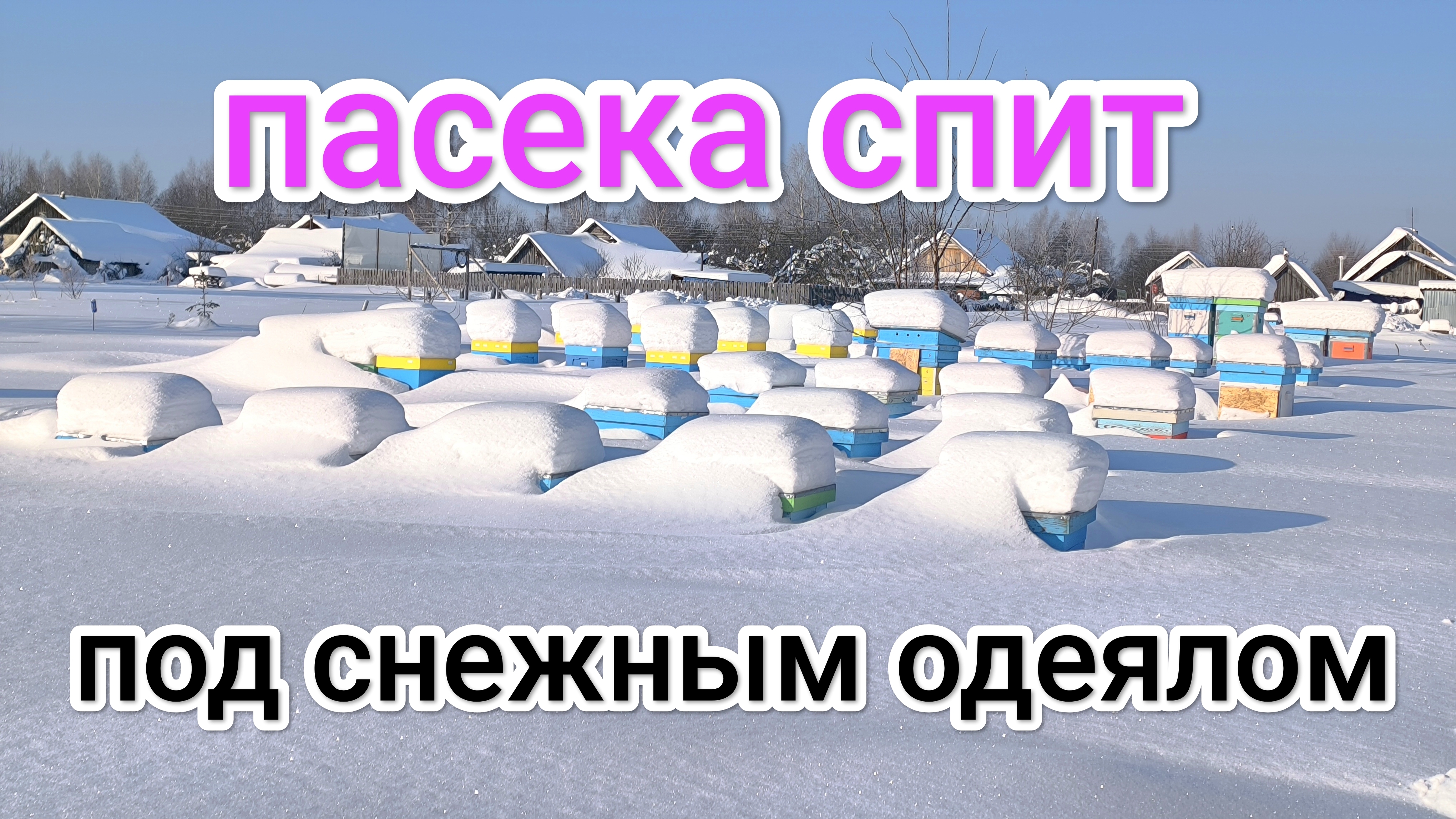 4 февраля. Пасеку замело снегом. Пчеловодство Владимирской области! смотреть онлайн