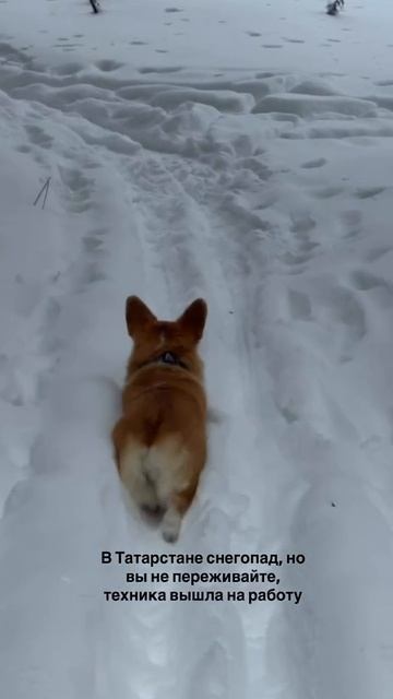 На улицы Татарстана выпустили мощную спецтехнику для расчистки снега смотреть онлайн