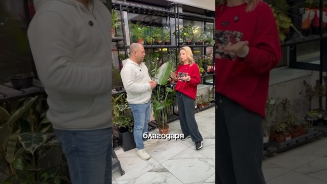 1 год лояльности. 3 неожиданных факта. 1000+ счастливых клиентов с бонусной картой UDS