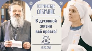 Живые примеры настоящей любви! Сестрическое собрание с о. Андреем Лемешонком 01.02.2026