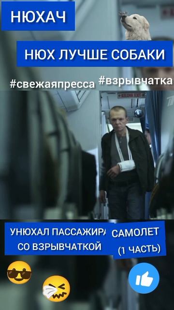 Нюхач — нюх лучше чем у собаки.🐶 #НЮХАЧ #самолет #взрывчатка #унюхал