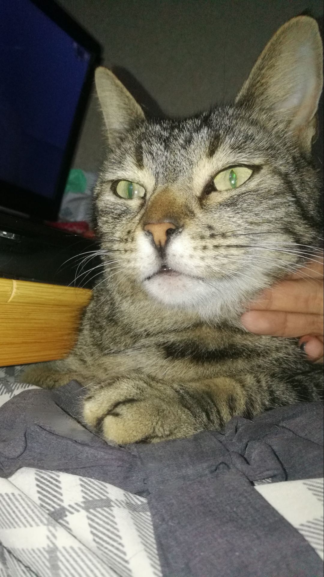 Завтрак и ужин