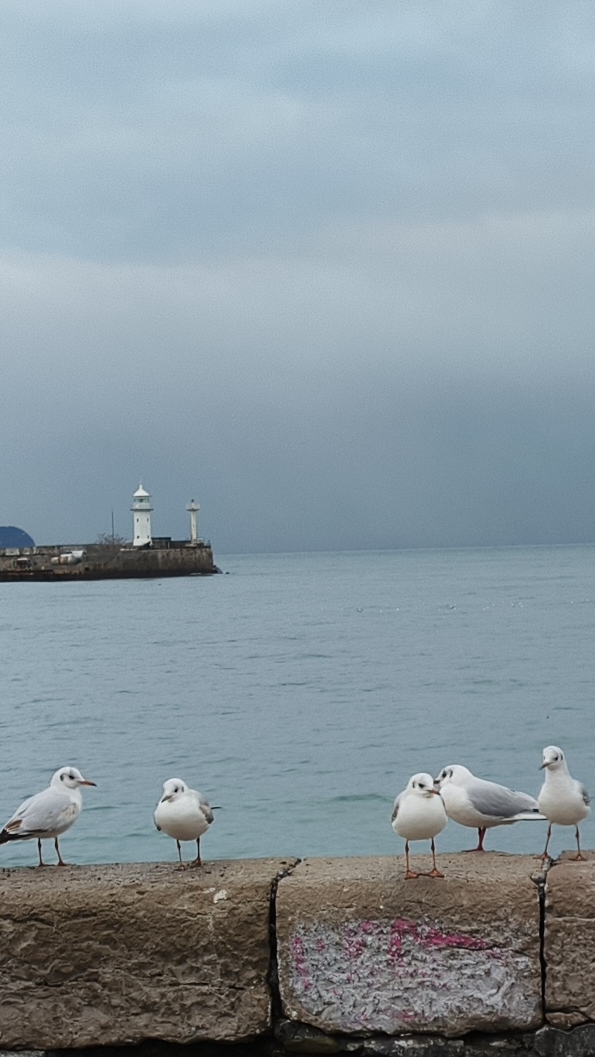 Крым Ялта набережная 4 февраля 2026 смотреть онлайн