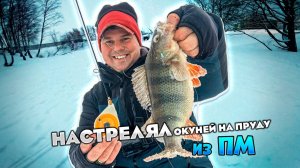 Денис Вихров. Ловля окуня на зимнюю блесну с удочкой ПМ (Пистолет Морозова) от Artuda