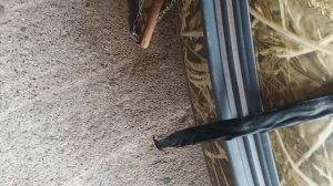 переднее колесо для лодки ПВХ