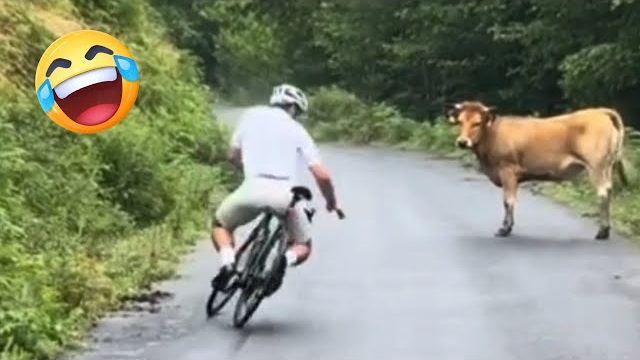 Смешные и нелепые моменты