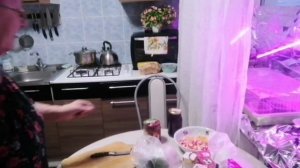 Жизнь пенсионеров.Дела домашние.