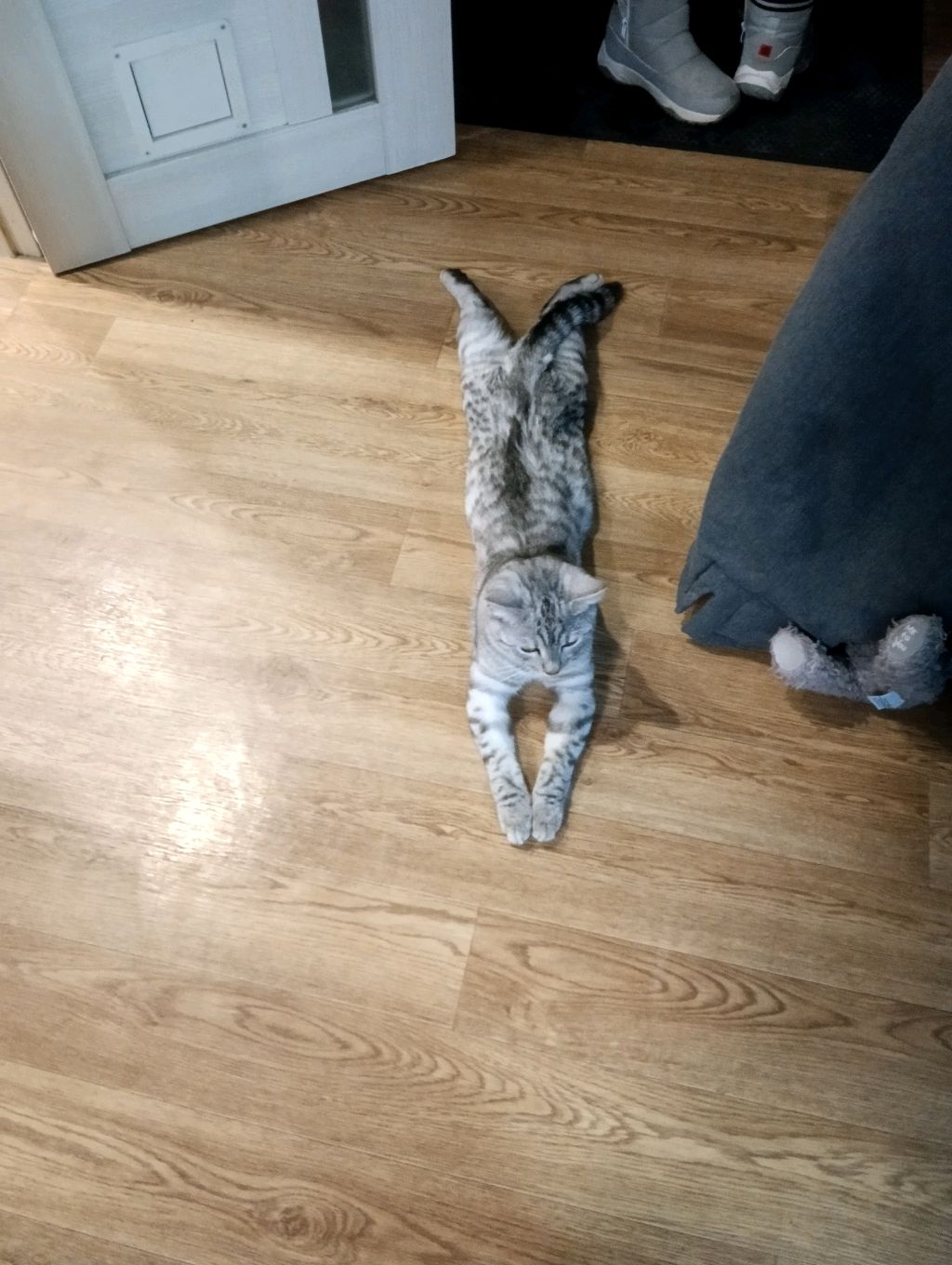 первый стрим смотреть онлайн