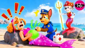 Щенячий патруль и Маршалл. Залипательное видео. Мультфильм для детей и малышей. Анимация 181